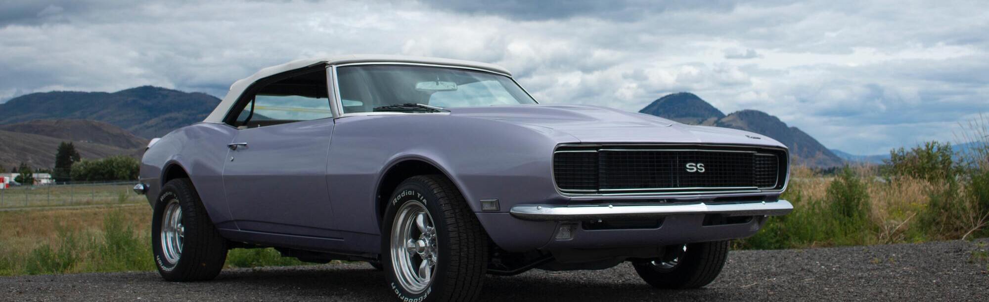 grey camaro crpped